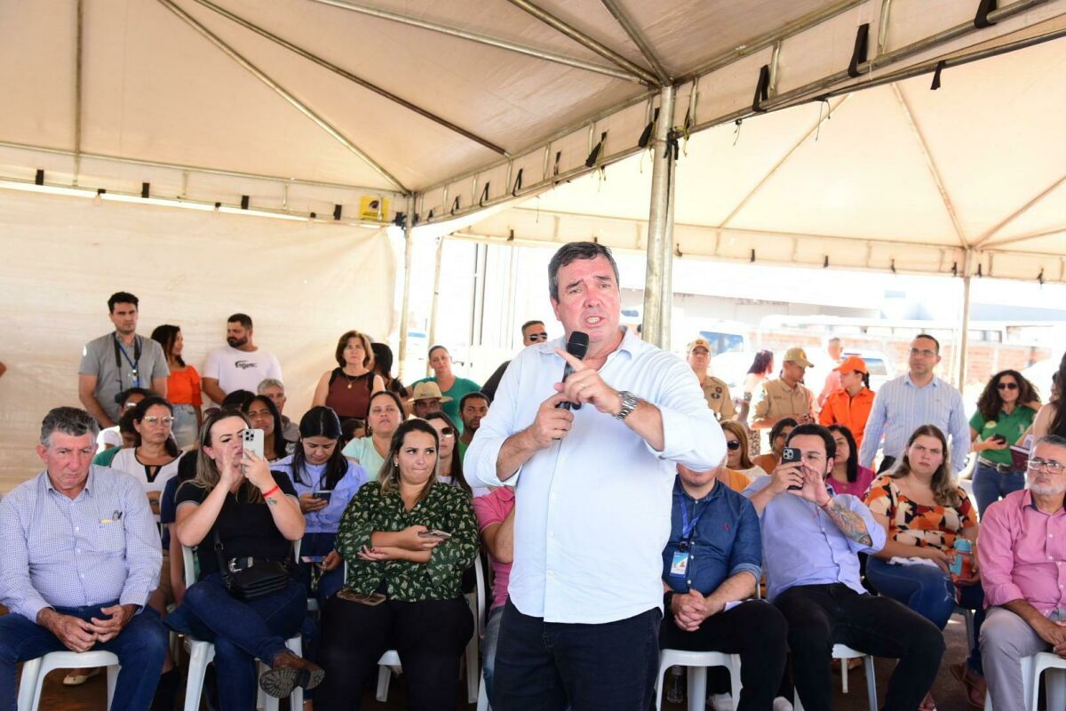Imagem da Galeria